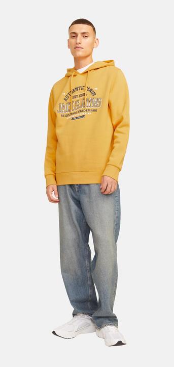 Immagine prodotto Jack & Jones JJELOGO SWEAT HOOD 2 COL 24/25 NOOS (XXL)