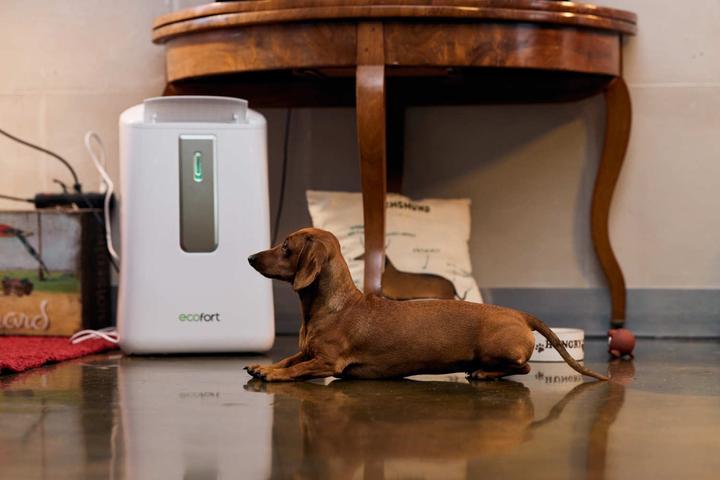 Produktbild ecofort ecoQ DryAir 20L (50 m², 20 l/24h)