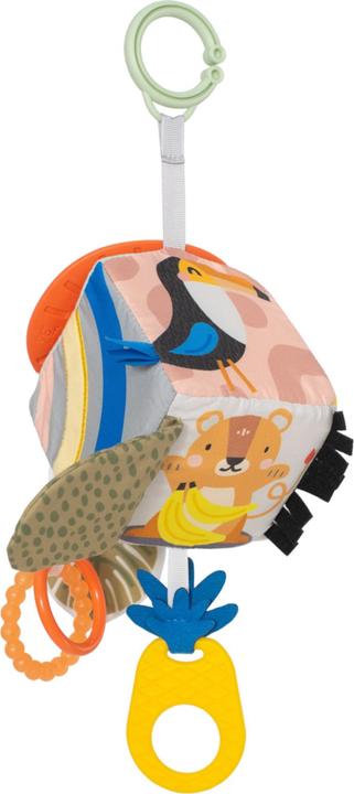 Actual product image Taf Toys Savannah discovery cube
