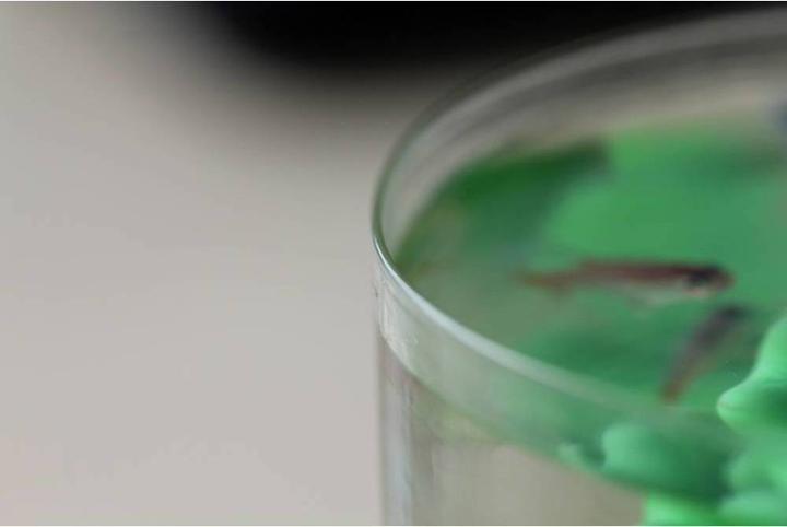 Actual product image Polymaker PJ01011 PolySmooth Filament polishable 1.75 mm 750 g Transparent 1 pc (PVB, 1.75 mm, 750 g, Transparent)