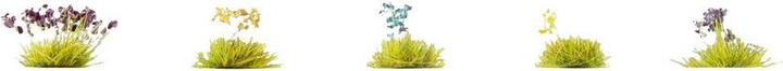 Actual product image Noch Flowers 250 pieces