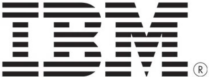 Actual product image IBM Network cable LC (M) to LC (M)