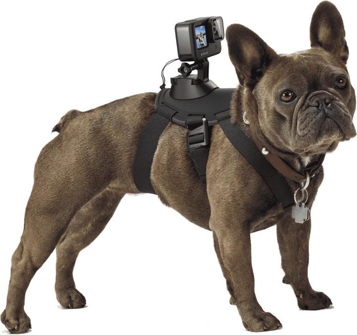 Image du produit GoPro Fetch harnais pour chien (Héros 7, Universel, Action Osmo)