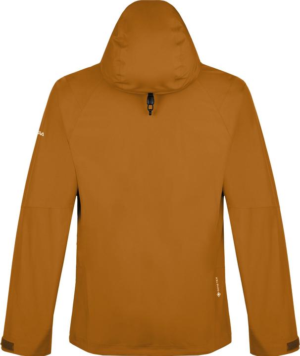 Image du produit Salewa Veste Puez GTX-Paclite (S)
