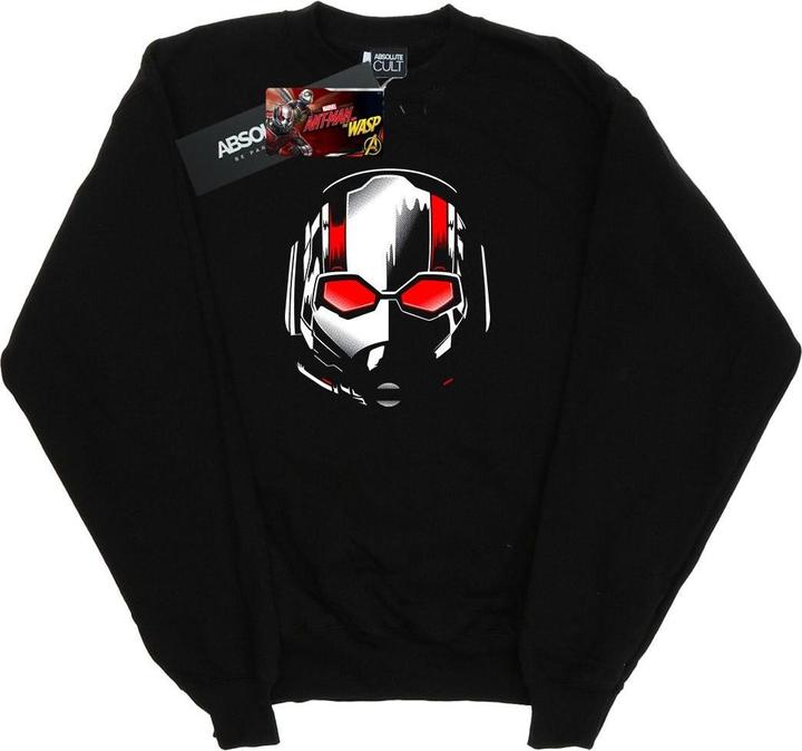 Jungen AntMan Und Die Wespe Scott Maske Sweatshirt