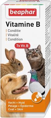 Actual product image beaphar vitamin B for all (140 g)