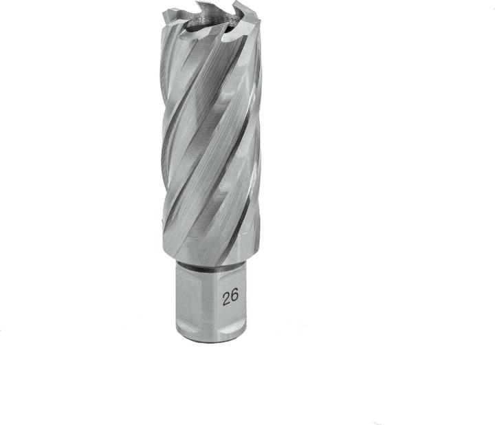 Immagine prodotto Euroboor 21005502001004 HCL.200 Kernbohrer, HSS, D 20 mm, DoC 55 mm, Weldon (20 millimetri)