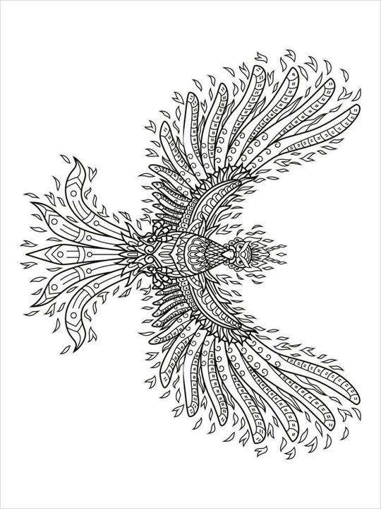 Produktbild Mein Mandala-Tier-Malbuch