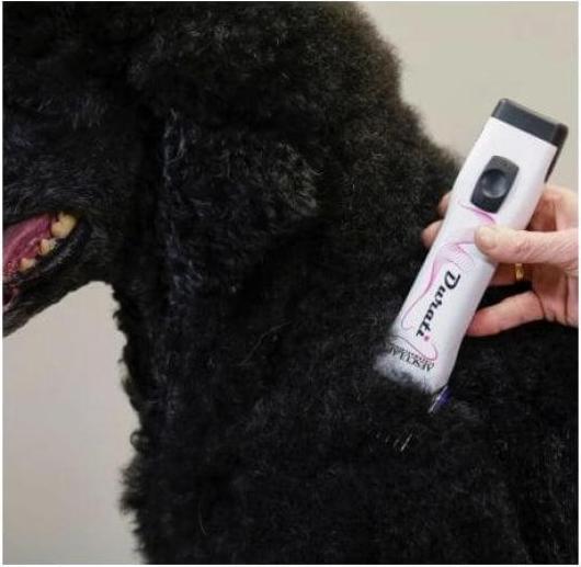 Produktbild Aesculap Akkuschermaschine Durati (Hund)