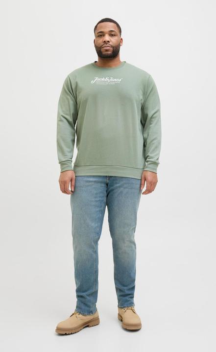 Immagine prodotto Jack & Jones Plus Size Gedruckt Sweatshirt Sweatshirt (5XL)