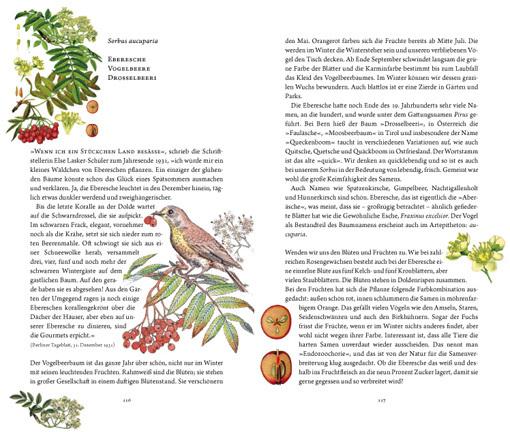 Image du produit Frau Haselin und Drecksäck (Allemand, Rosemarie Gebauer, 2016)