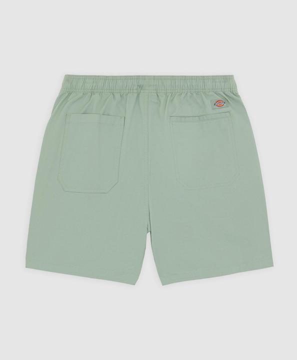 Dickies Pelican Rapids (L)