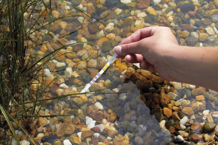 Image du produit Oase QuickSticks AquaActiv