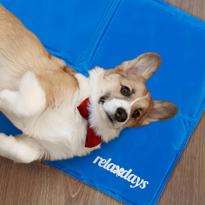 Immagine prodotto Relaxdays Tappeto di raffreddamento (Cane)