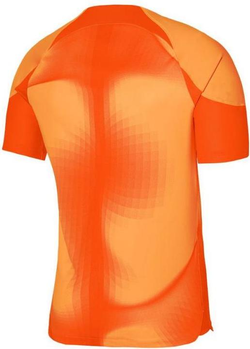 Image du produit Nike Maillot de gardien de but Gardien IV Homme (S)