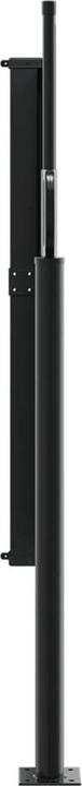 Actual product image VidaXL Extendable side awning (1 m)