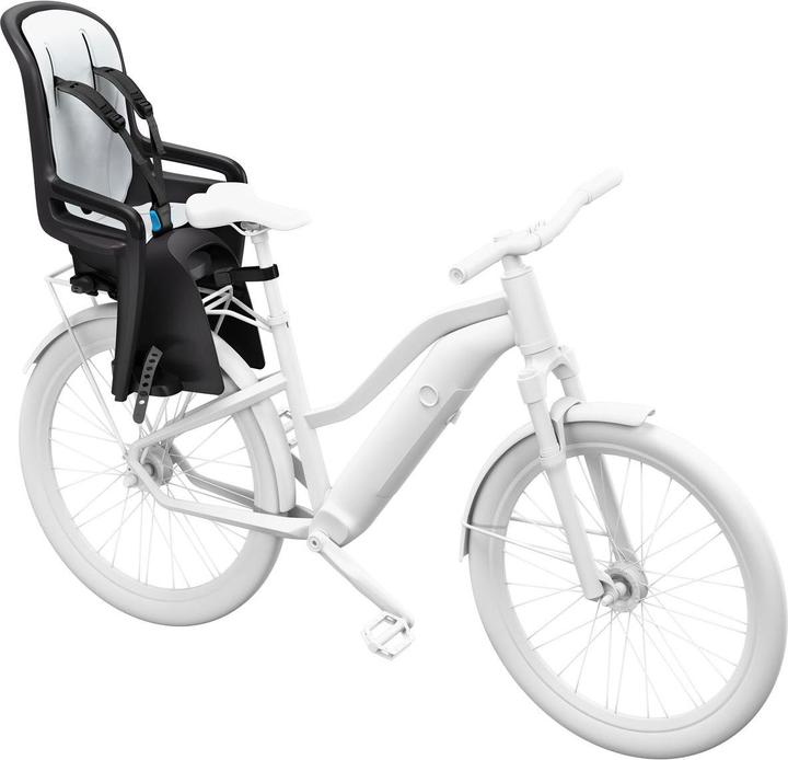 Actual product image Thule Ride Along 2 Rack Mount - Dark Grey (Carrier)