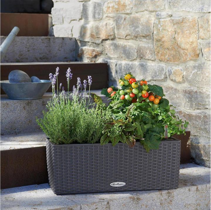 Produktbild Lechuza Balconera Cottage (19 cm)