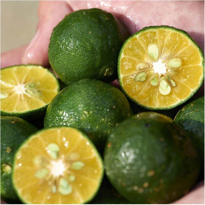 Produktbild Shiseido Waso - Shikulime Gel-to-Oil (Gel, 125 ml)