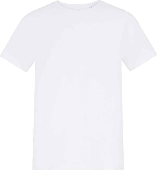 Arctic White