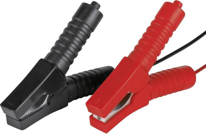 Immagine prodotto Einhell Cc-Bc 10 E (12V, 10 A)