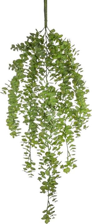 Image du produit Fiebiger Giardino
