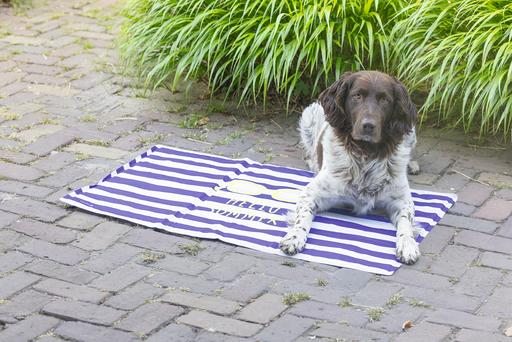 Immagine prodotto Beeztees Kühlmatte Hello Summer (Cane)