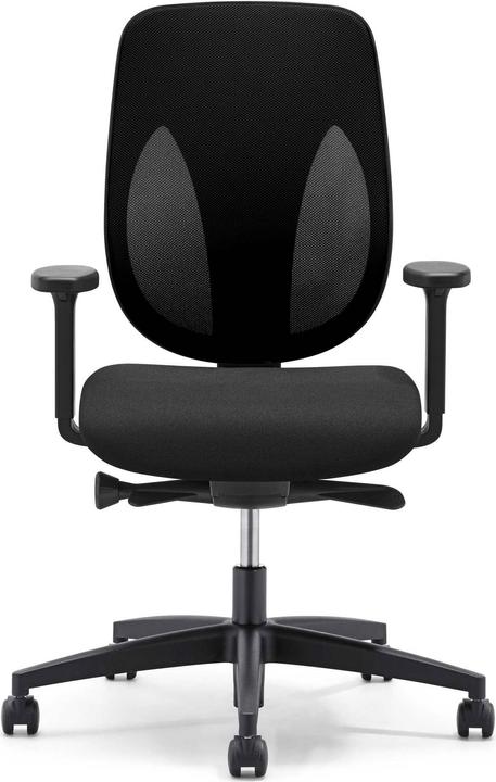 Actual product image Giroflex Net back 353