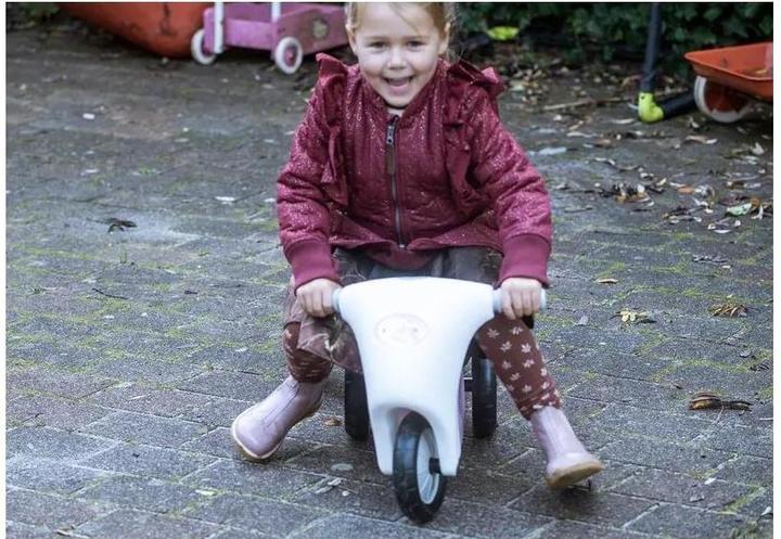 Immagine prodotto dantoy Scooter rosa