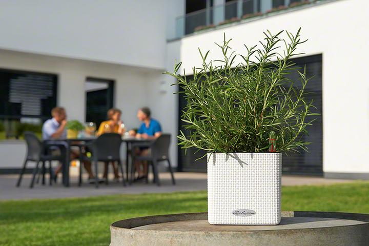 Produktbild Lechuza Cube (17 cm)