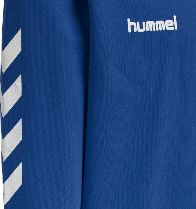 Image du produit hummel Go Kids Hoodie En Coton (176)