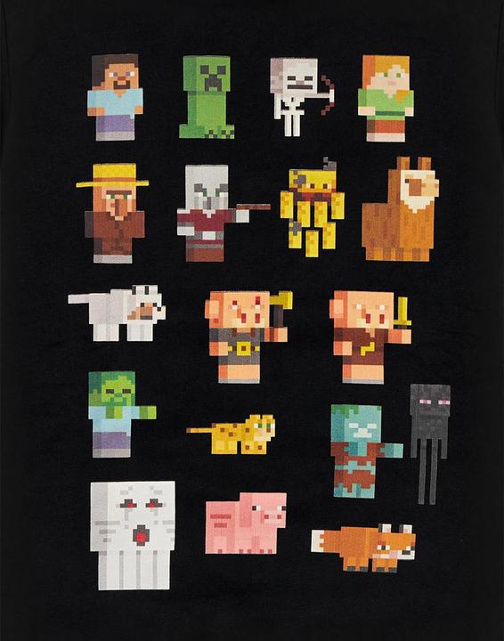 Actual product image Minecraft Children/Kids Sprites Hoodie (146, 152)