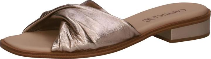 Taupe métallique 341