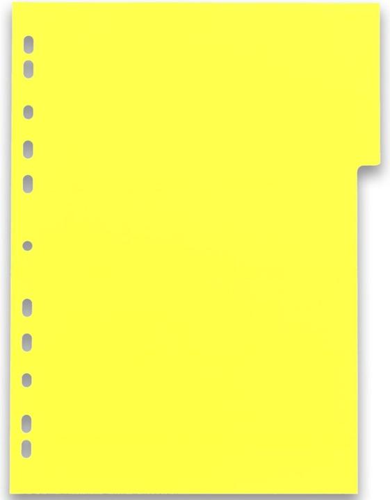 Produktbild Elba Kunststoff-Register myColour