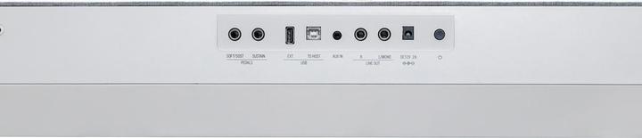 Actual product image Kurzweil KaP1 (88 Keys)