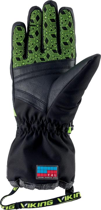 Produktbild Vikingsports VIKING Handschuhe Winter Freeride Herren - ideal für Ski und Snowboard - extra warm - Wasser- und Wi (8)