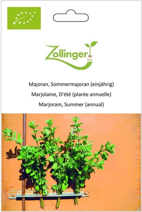 Actual product image Zollinger Bio Marjoram, summer mayor (annual)