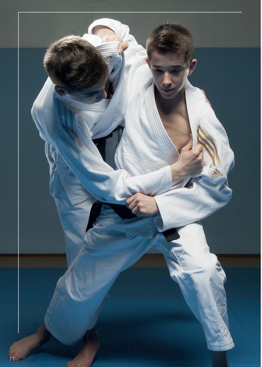 Actual product image adidas Judo suit "Contest" white/silver stripes, J650 (170)