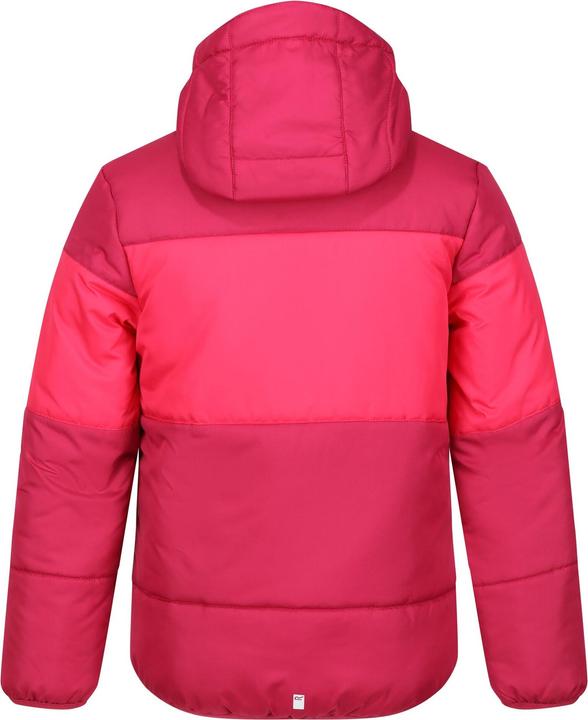 Actual product image Regatta Childrens/Kids Lofthouse VII Terrain Print Padded Jacket (146, 152)
