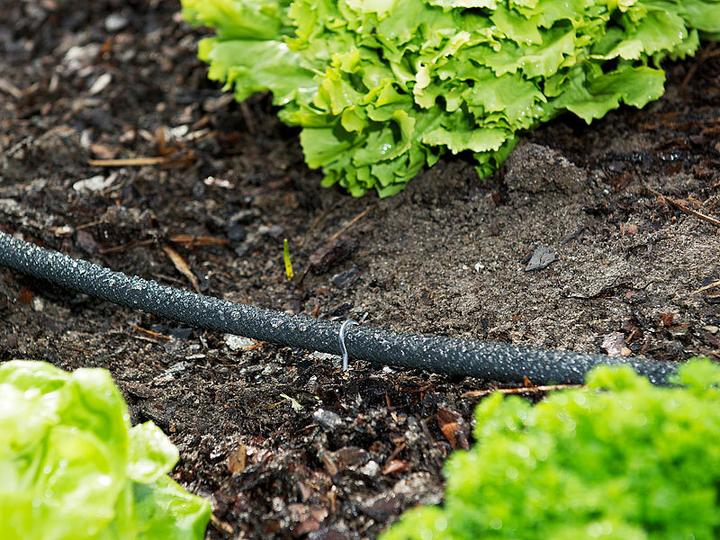 Image du produit Royal Gardineer Tuyau perlé, y compris raccords rapides (12 m)