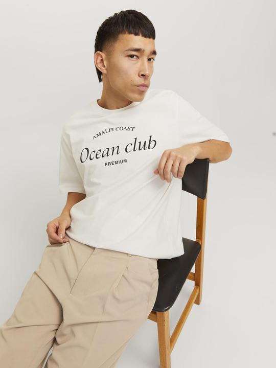 Image du produit Jack & Jones Imprimé col rond T-shirt T-shirt (S)