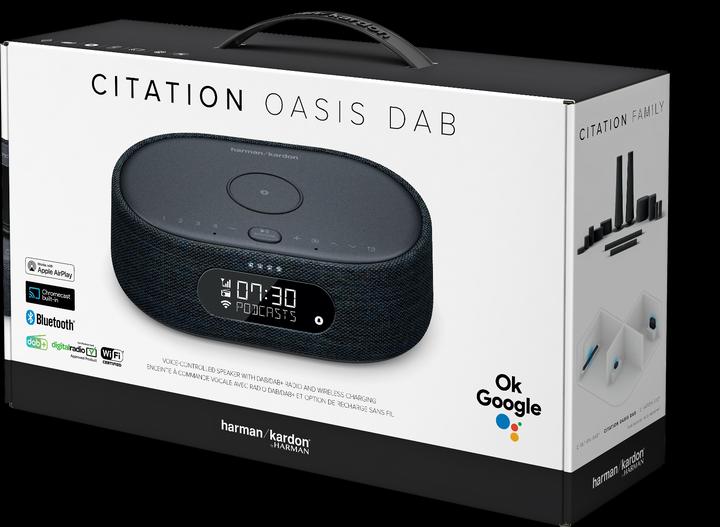 Produktbild Harman/Kardon Citation Oasis (WLAN, Bluetooth)
