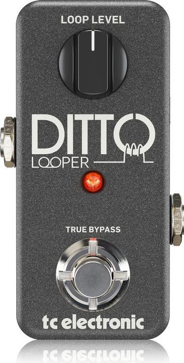 Actual product image TC Electronic Ditto Looper (Guitar)