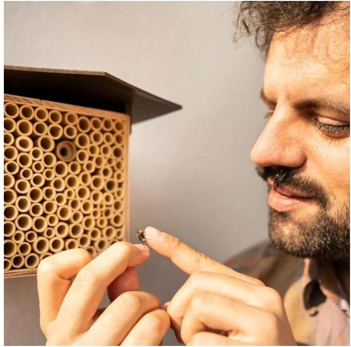 Actual product image Wildbiene BeeHome One (Wild bees)