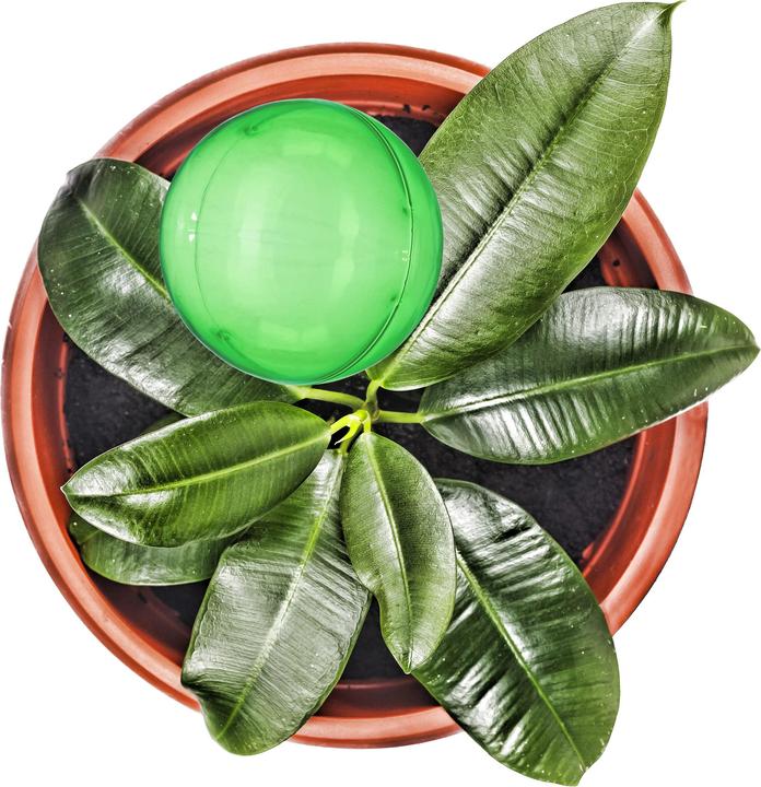 Image du produit Relaxdays Globes d'arrosage lot de 4 (Boules d'arrosage)