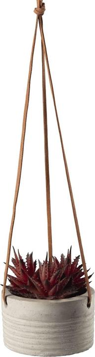 Immagine prodotto ASA Selection ASA Maxi succulenta appesa I in grigio con accento rosso 10,5cm (100 cm)