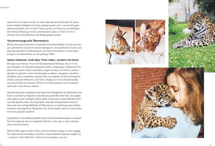 Actual product image Was will mir meine Katze sagen? (German, Helke Brandt, 2023)