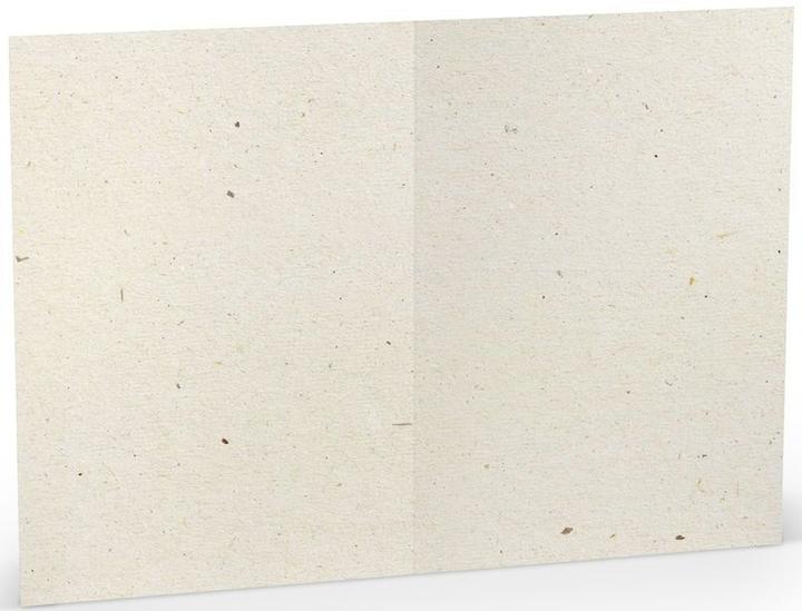 Produktbild Rössler Briefkarte Paperado Terra vanilla (5 Stk.)