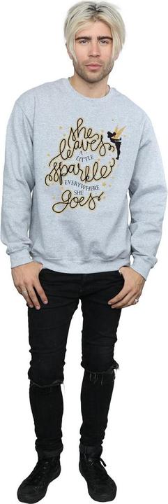 Produktbild Disney Tinkerbell Stars Sweatshirt (XL)