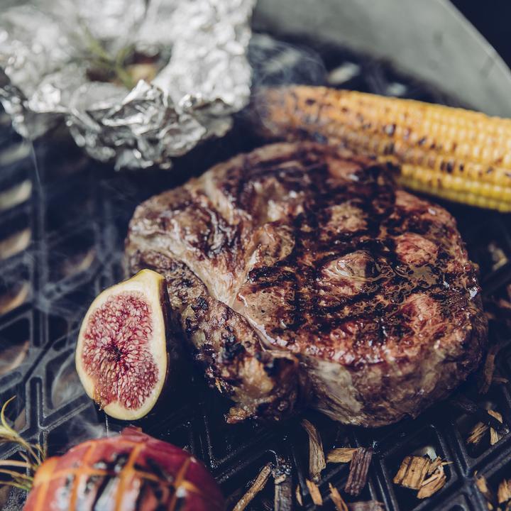 Image du produit Höfats Grille en fonte avec bac de récupération Cône